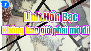 Linh Hồn Bạc| Cầu mong ánh bạc không bao giờ phai mờ đi_1