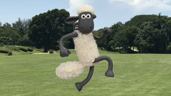 GROUP 2 VIDEO HIGHLIGHT