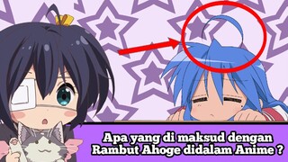 Apa yang di maksud dengan Rambut Ahoge didalam Anime ? #VCreators