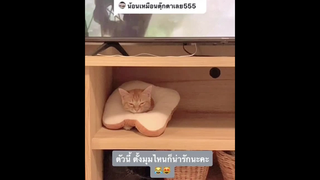 แอบนอนหน่อยย