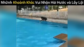 Những khoảnh khắc vui nhộn hài hước 😆