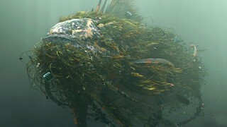 《约拿》黑人小伙想要猎杀巨型水怪，结果自己反被吞噬！