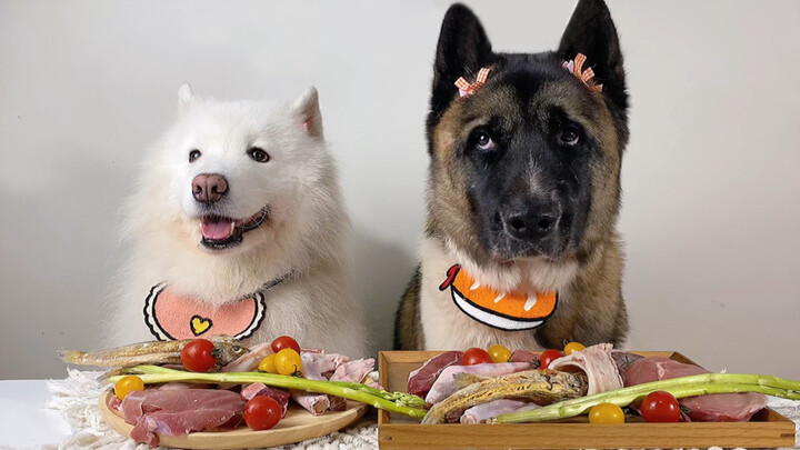 [Hewan]Apa Perbedaan Makan Anjing Bermuka Hitam dan Bermuka Putih?
