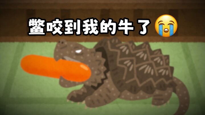 鳖咬到我的牛了！！