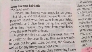 Daily Verse.                  Exodus 23:12-13
