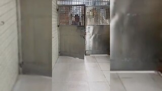 hài trung quốc p2 #haihuoc