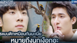 โรแมนติกเหมือนกันนะเนี่ย หมายถึงนกเงือกอะ นิทานพันดาว 1000stars