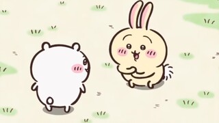 【النقل】Usaqi مستقر ومجنون