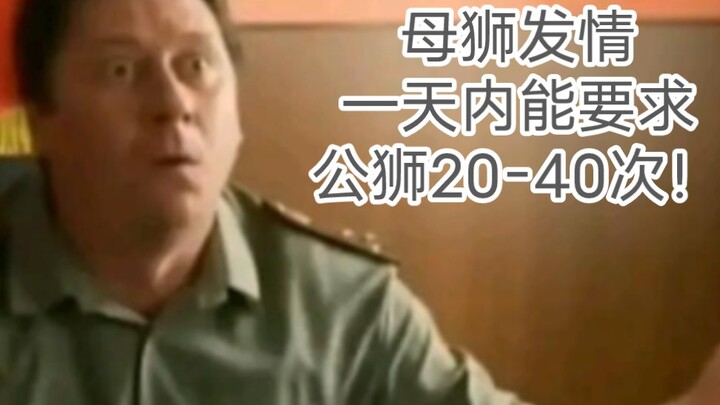 “Vua Sư Tử Chết Vì Lũ Lụt”