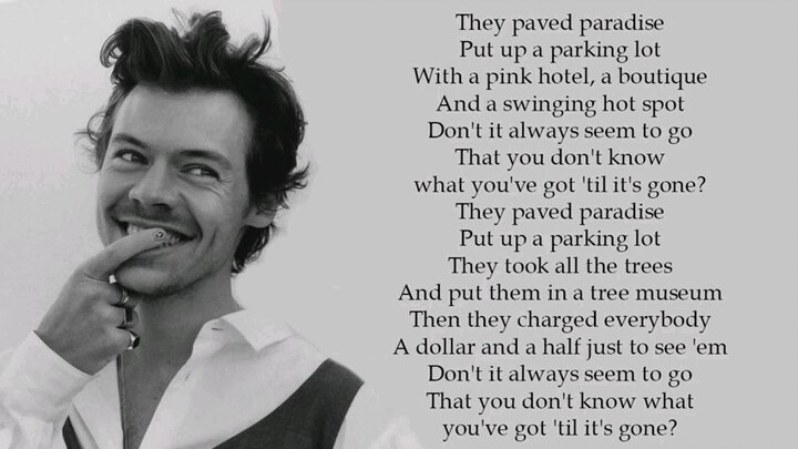 harry styles (Big Yellow Taxi) Lyrics