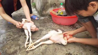 Chú em lên cá chúng đậm.hai ô tô chở mới hết