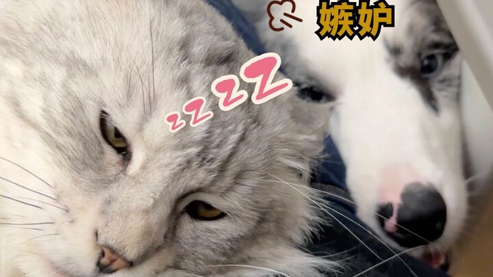 Kaka: Am I not cuter?