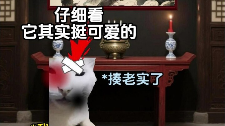 Tôi có một vị thần hộ mệnh quái vật ~7