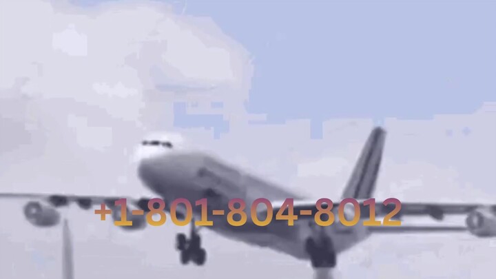 《VUELING DIRECTO》 Número de Teléfono de Atención al Cliente de Vueling Atención Oficial Completa 202