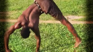 非洲的空翻大师,放眼全球无人能及