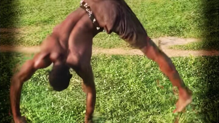 非洲的空翻大师,放眼全球无人能及