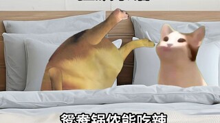 ไทยบ้า