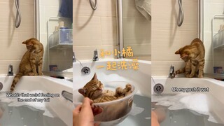 和小橘一起洗澡