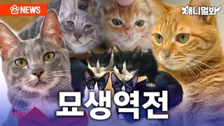 [단독] 동농 제작진과 가족이 된 냥민들! 어떻게 살고 있을까?ㅣSBS뉴스멀봐(2024.05.03)