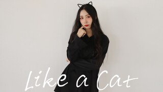 【Luo Liang】AOA - Like a Cat (Like a Cat) ปกเต็ม