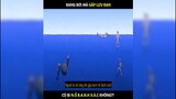 Thử thách bơi dưới nước đâm vào Lựu Đạn và cái kết | LT Review
