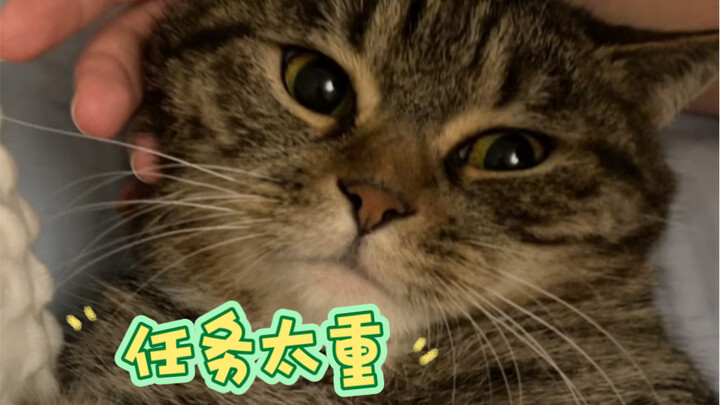 أمي، هل أخطأتِ في توزيع المهام؟ هل يمكنني أنا مثلًا أن أهزم أخي؟