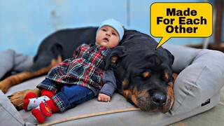 Dog and baby become best friends | rottweiler dog | funny videos | #dog #funnyvideo