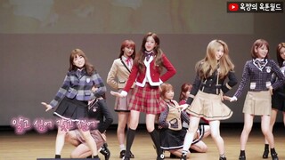 IZ ONE - O' My ! Versi Editan Cermat oleh Yu Jiang