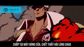 RAP VỀ BỘ 3 ĐÔ ĐỐC - amv -  cậu cả tv #anime #schooltime