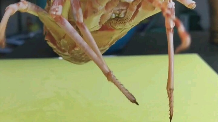 Sederhana tapi nikmat, bakar sate saja!