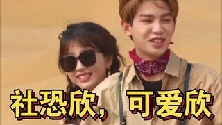 社交尴尬症虞书欣，太可爱了！
