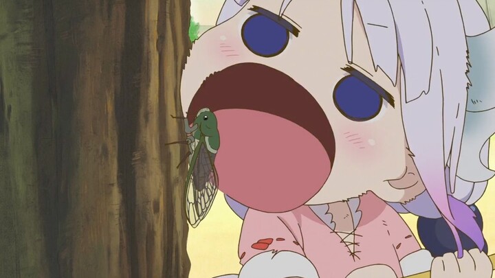 Kanna, who eats everything, will also let go of the food that enters her mouth