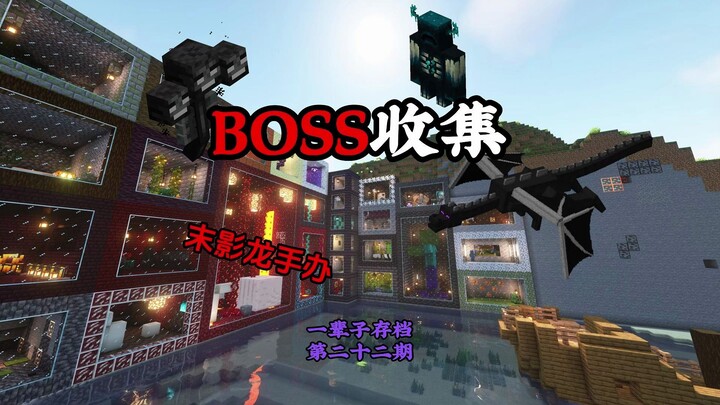 Tôi đã sưu tầm tất cả các BOSS trong Minecraft (bao gồm Rồng Ender), xác sống khổng lồ, ngựa zombie 