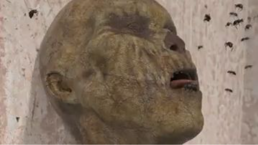 Torajan Death Rituals