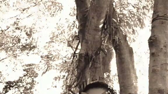 ลองทำครั้งแรก