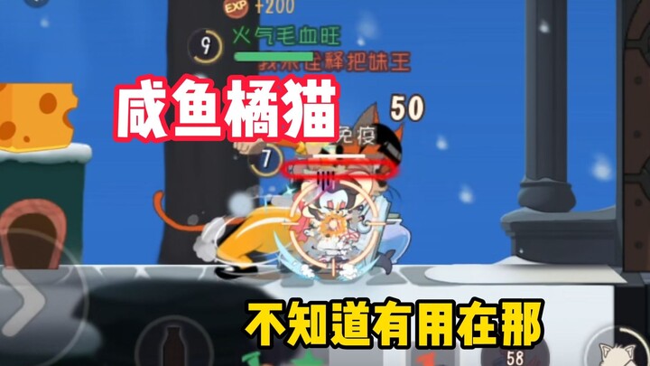 เกมมือถือแมวและหนู: ประสบการณ์กับเจ้าแมวส้มตัวขี้เกียจ