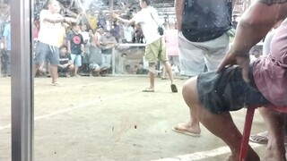 stag vs stag    nodelconditioning