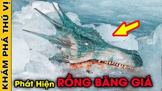 🔥Phát Hiện RỒNG BĂNG GIÁ Và 9 Sinh Vật Bí Ẩn Và Kỳ Lạ Nhất Thế Giới Được Tìm Thấy Dưới Băng | KPTV