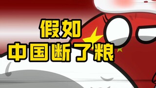 【波兰球】假如给中国断了粮，会发生什么？
