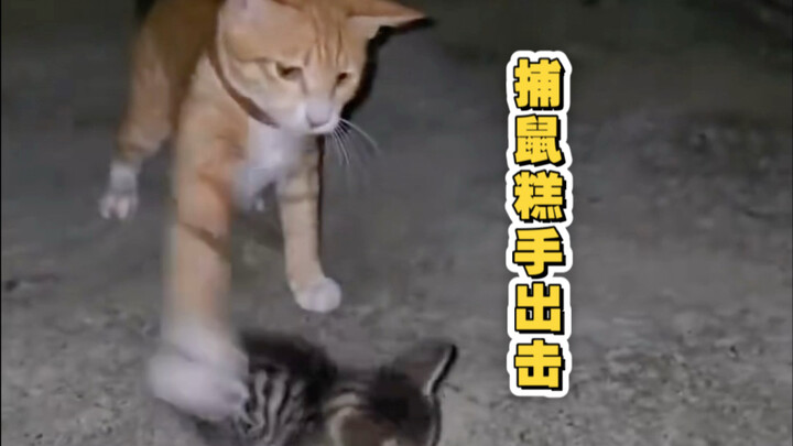 【ฮาชี่ทีวี】ขนมจับหนูลงมือแล้ว