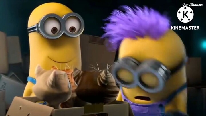 _PANIC IN THE MAILROOM_ (MINI-MOVIE) EVIL PURPLE CATS🧪 TRANSFORMATION SCENE  FO