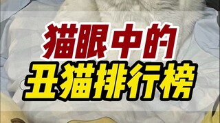 The ugly cat in the eyes of cats, the third one is puzzled, the first one agrees