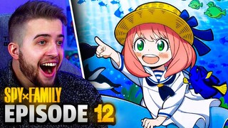 FAMILY AQUARIUM OOTING💖Spy X Family Episode 12 Reaction