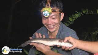 [ Phần 1] SĂN CÁ LÓC ĐÊM TRÚNG ĐẬM | Hội Ngộ Miền Tây - Tập 573