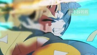 黑死牟开通透看了猪猪半天，决定回去重学解剖学