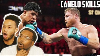 UFC Fans Reacts To "25 Times Canelo Alvarez Showed Perfect Skill
