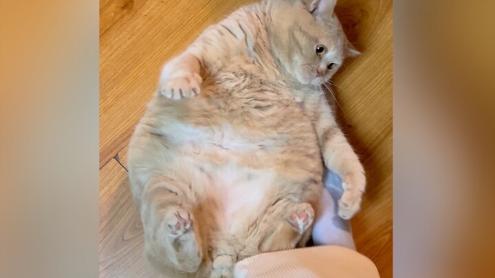 วันนี้ออกกำลังกายพอแล้วมั้ง