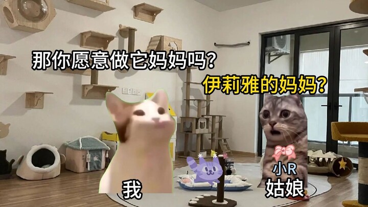【Meme kucing】Kisah perkenalan dan asmara saya dengan istri (episode kompilasi)