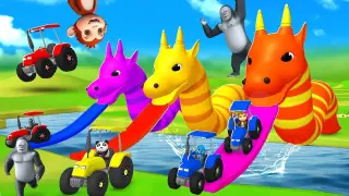 Gorilla Monkey with Tractor Fun Dragon Slider Gameplay | Funny Animals Videos in Forest 3D Games
