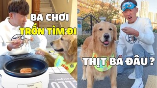 Gâu Đần Family | Khi Đản Hoàng Rủ PAPA Chơi Trốn Tìm Và Cái Kết... 😂 Gâu Đần Official